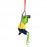 WOAVIN IRON PAINTED FROG MALE W/ BINOCULAR
